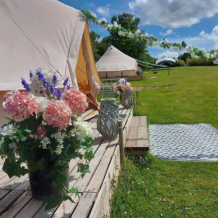 Hopgarden Glamping - Luxury 6M Bell Tent Wadhurst Kültér fotó