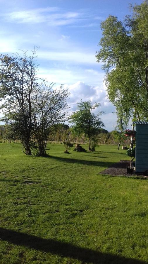 Hopgarden Glamping - Luxury 6M Bell Tent Wadhurst Kültér fotó