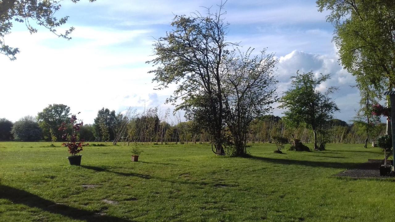 Hopgarden Glamping - Luxury 6M Bell Tent Wadhurst Kültér fotó