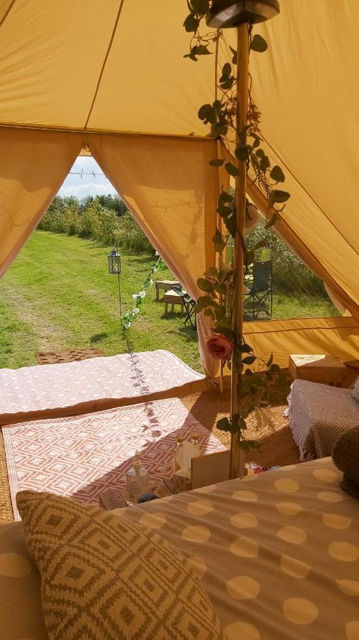 Hopgarden Glamping - Luxury 6M Bell Tent Wadhurst Kültér fotó