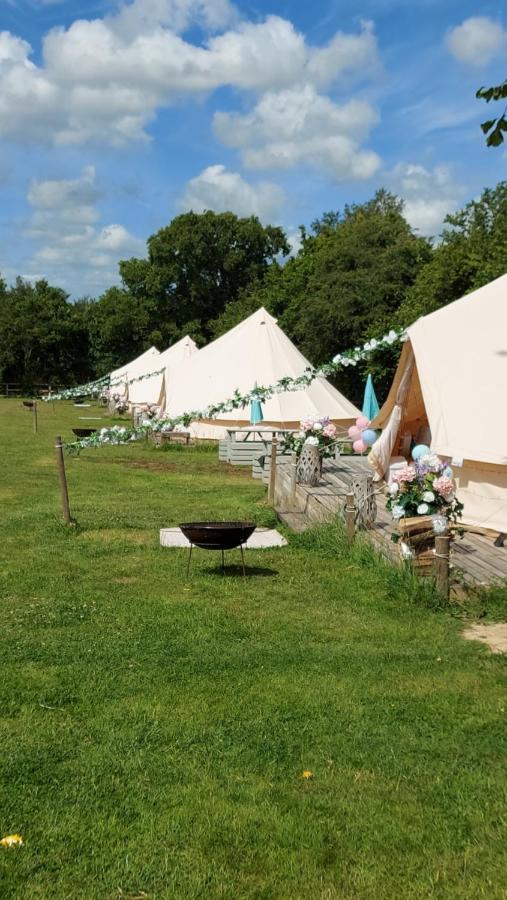 Hopgarden Glamping - Luxury 6M Bell Tent Wadhurst Kültér fotó