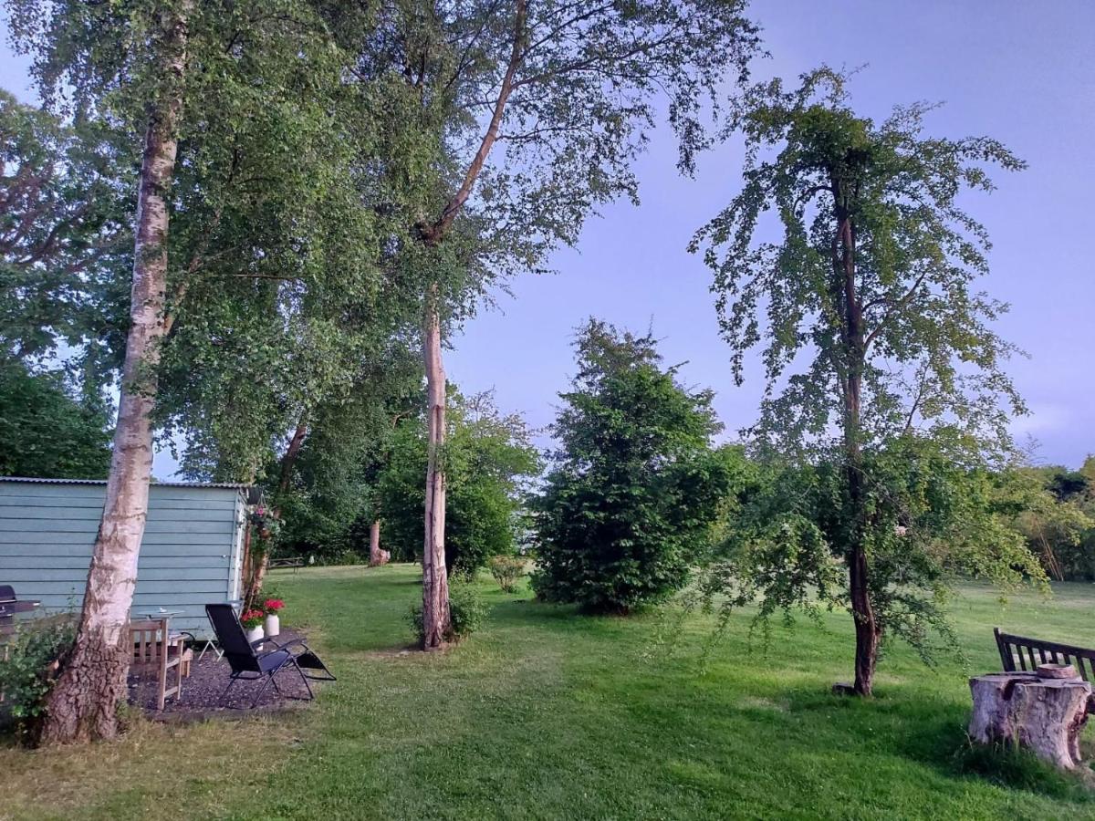 Hopgarden Glamping - Luxury 6M Bell Tent Wadhurst Kültér fotó