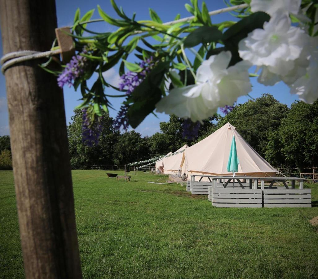Hopgarden Glamping - Luxury 6M Bell Tent Wadhurst Kültér fotó